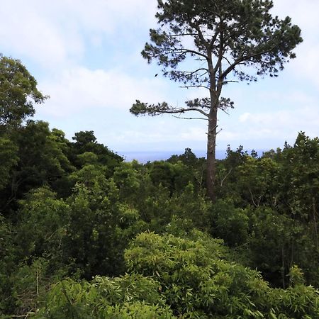 Casas Do Caminho Novo São Roque do Pico Εξωτερικό φωτογραφία